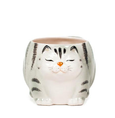 Grey Tabby Cat Mug