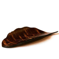 Leaf Shape Cherry Bark Tea Scoop