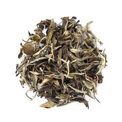 Ancient Moonlight Organic White Tea