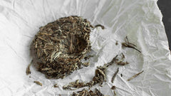 Sun-Dried Silver Tips Raw Pu Er